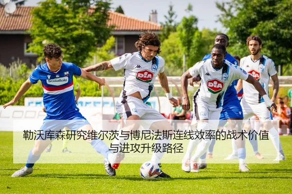 勒沃库森研究维尔茨与博尼法斯连线效率的战术价值与进攻升级路径